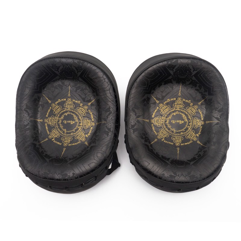 FUJIMAE SAKYANT II LEATHER FOCUS MITTS-black